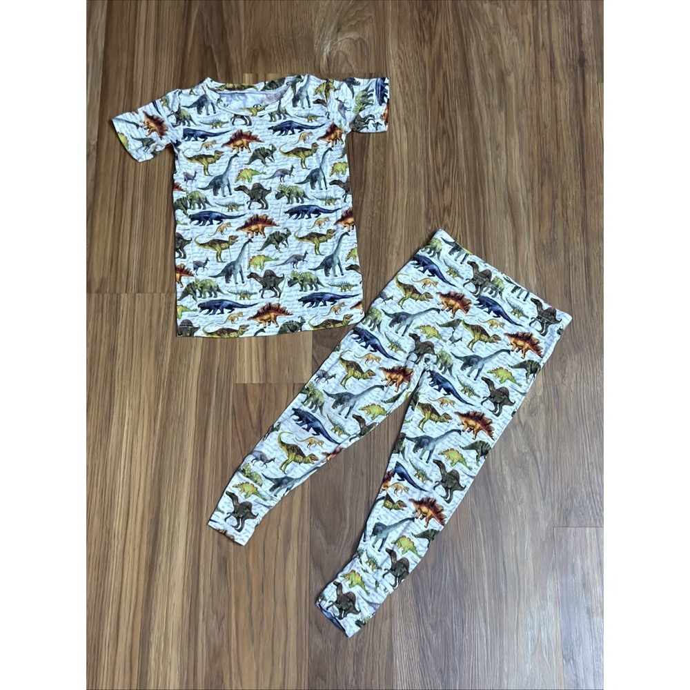 Bums & Roses Toddler Boys 2T Dinosaur Shirt Pants Pajamas Bamboo